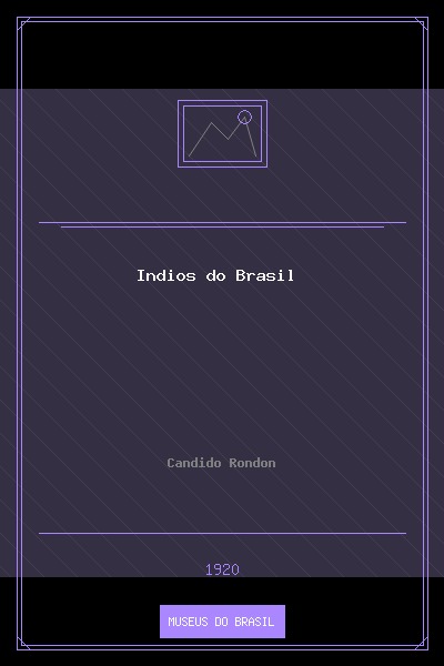 Índios do Brasil